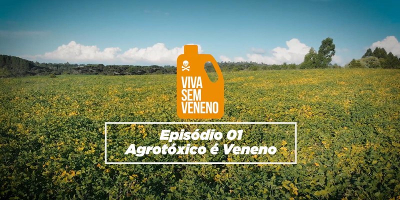 Primeiro episódio da Websérie Documental Viva Sem Veneno é lançado. Assista!