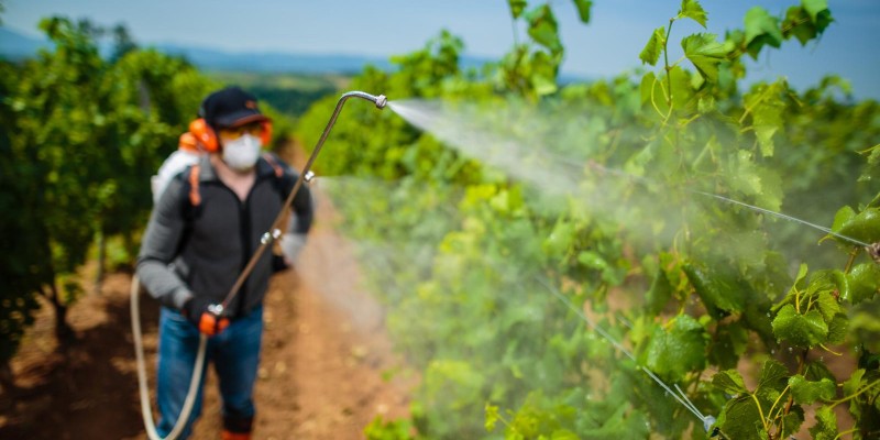 Legislações brasileiras sobre agrotóxicos: Confira a lista